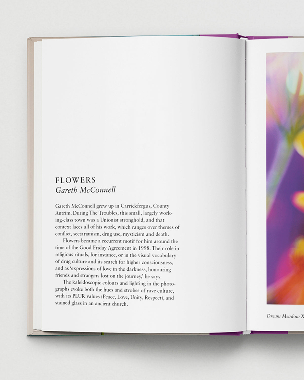 New Photography of the Flower