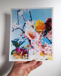 Dream Meadow XII, 2022