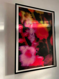 Dream Meadow II, 2019