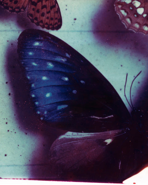 Dream Baby Dream (I), 2020