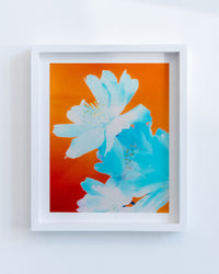 Dream Blossom XXV, 2022 | Framed | Edition number 01/100