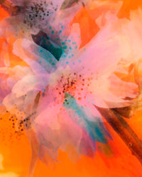 Dream Blossom XXXIV, 2023