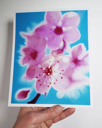 Dream Blossom XXXV, 2024