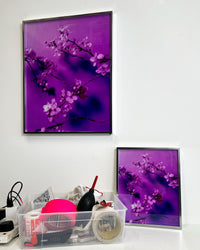 Dream Blossom XXXVII, 2025