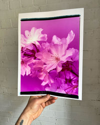 Dream Blossom XXXVIII, 2026 | Open Edition