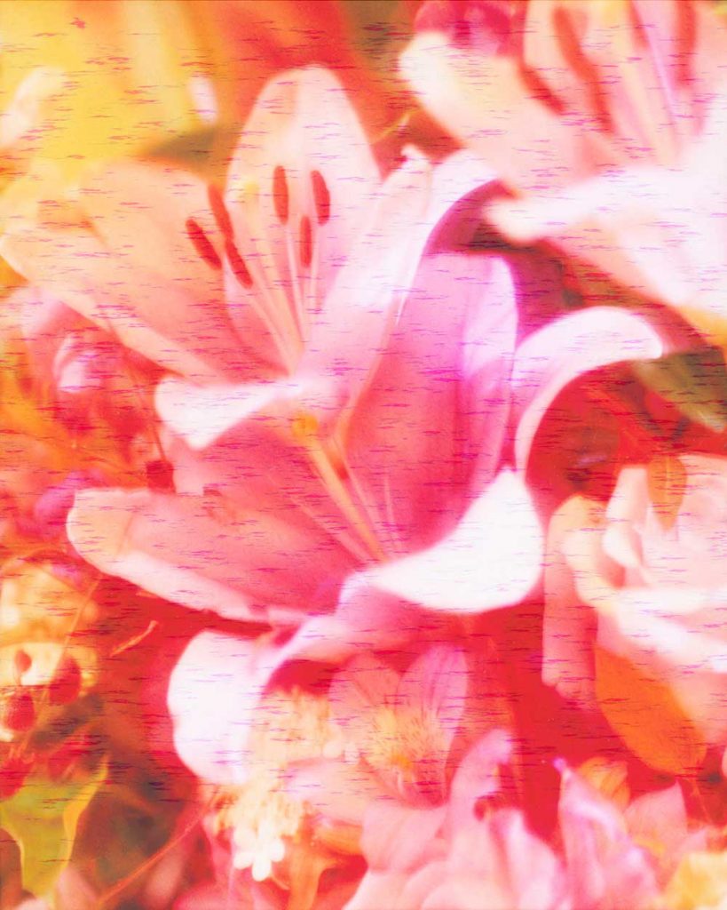 The Brighter The Flowers, The Fiercer The Town. Seen Fifteen