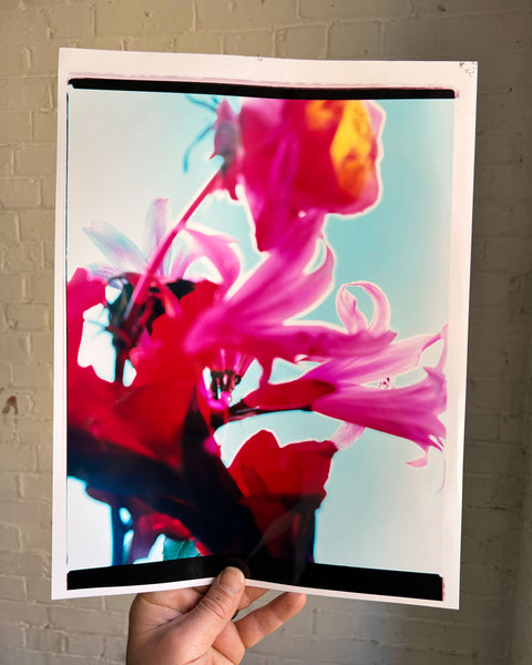 Dream Meadow LXII, 2025