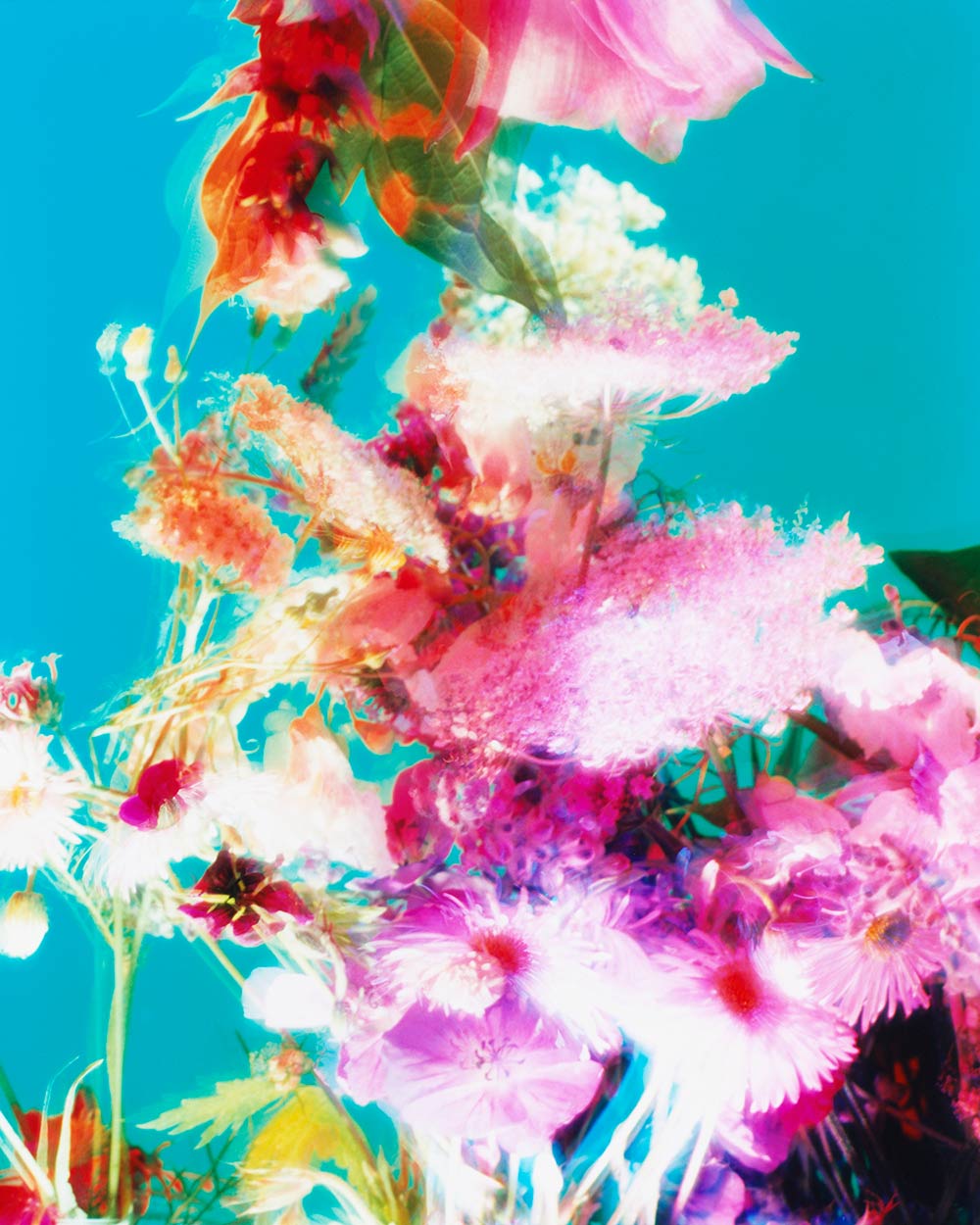 The Brighter The Flowers, The Fiercer The Town. Seen Fifteen