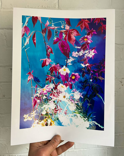 Dream Meadow XXVII (2), 2021