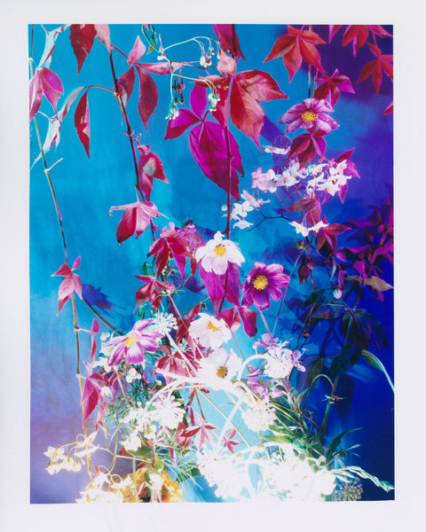 Dream Meadow XXVII (2), 2021