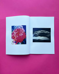 Flowers & Beds | zine + hand print | Dream Meadow XXVII(V), 2021