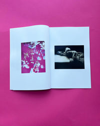 Flowers & Beds | zine + hand print | Dream Meadow XXVII(V), 2021