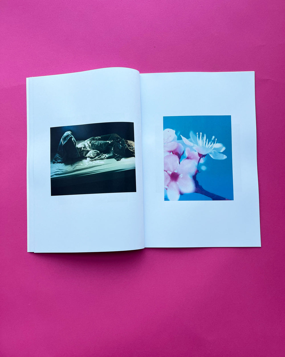 Flowers & Beds | zine + hand print | Dream Meadow XXVII(V), 2021