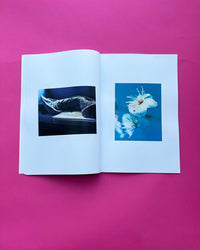 Flowers & Beds | zine + hand print | Dream Meadow XXVII(V), 2021