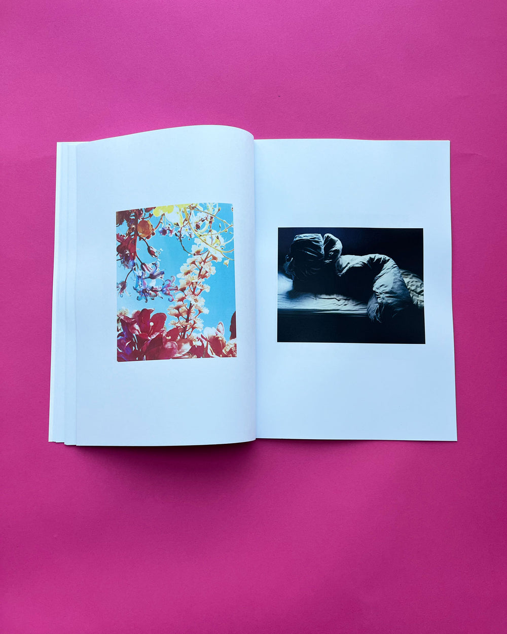 Flowers & Beds | zine + hand print | Dream Meadow XXVII(V), 2021