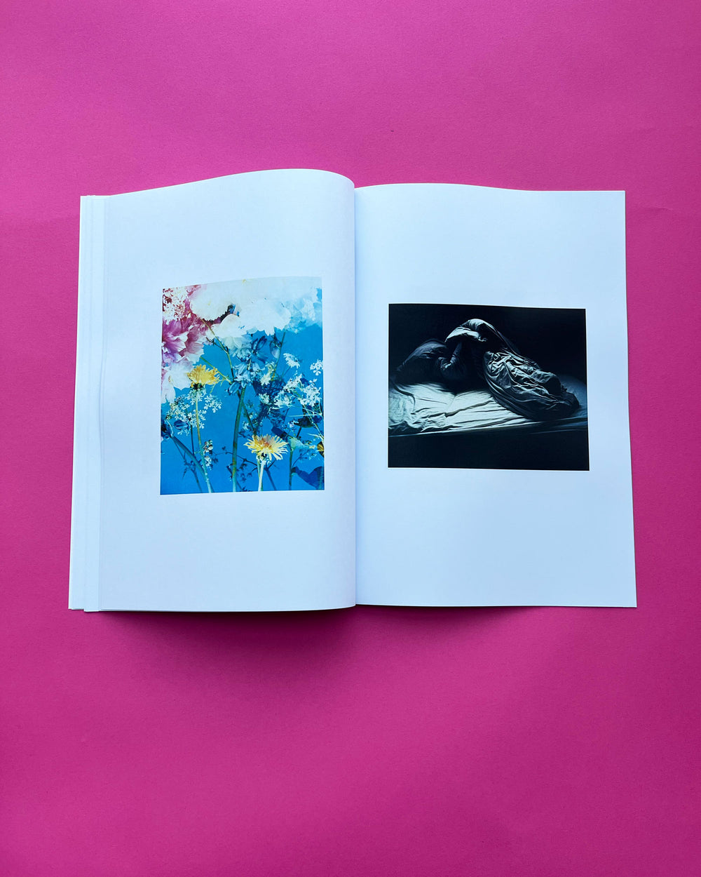 Flowers & Beds | zine + hand print | Dream Meadow XXVII(V), 2021