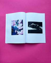 Flowers & Beds | zine + hand print | Dream Meadow XXVII(V), 2021