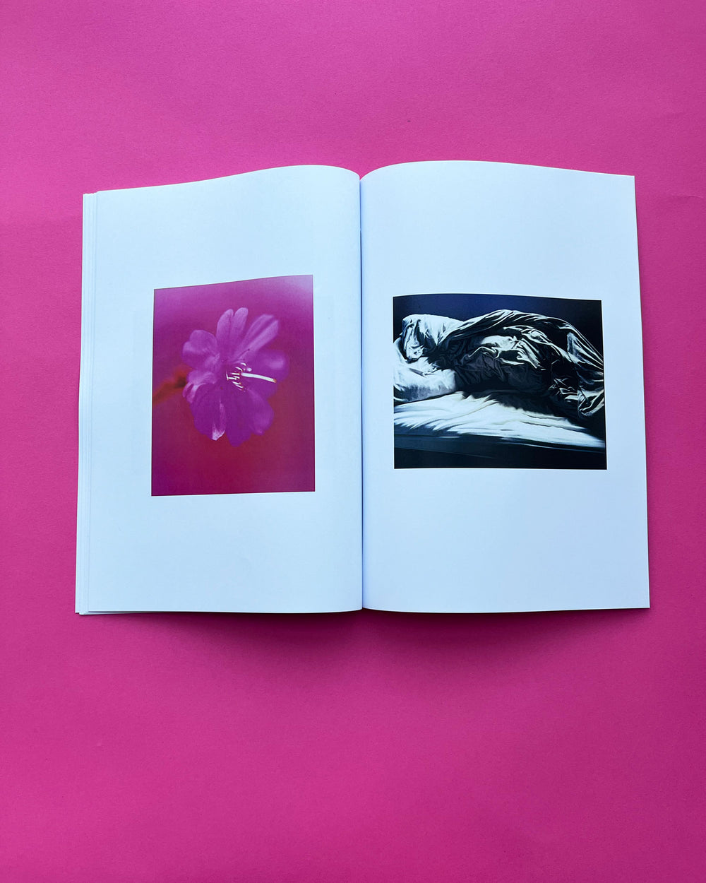 Flowers & Beds | zine + hand print | Dream Meadow XXVII(V), 2021