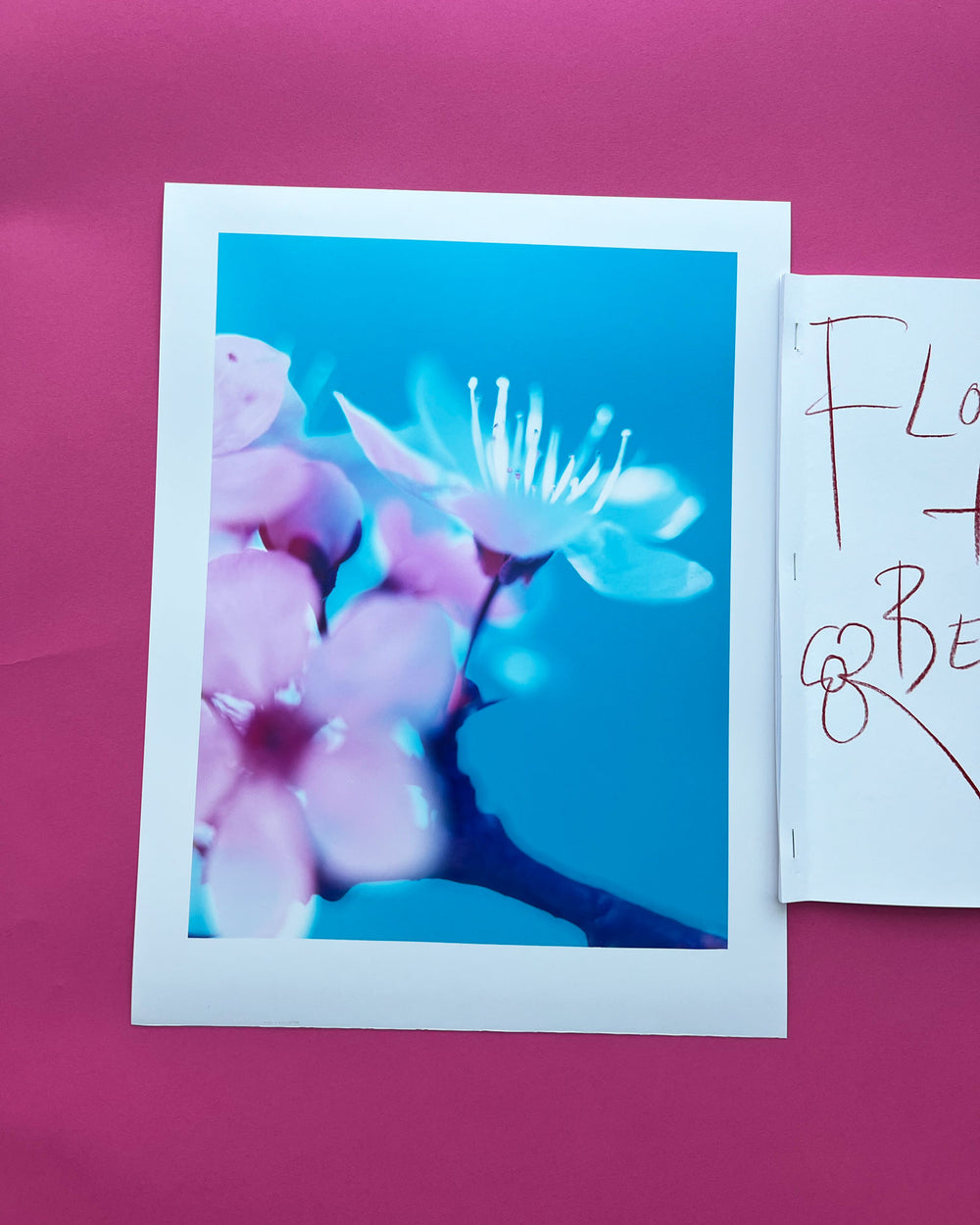 Flowers & Beds | zine + hand print | Dream Blossom XXXII, 2024