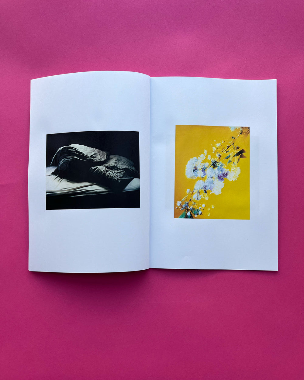 Flowers & Beds | zine + hand print | Dream Meadow XXVII(V), 2021