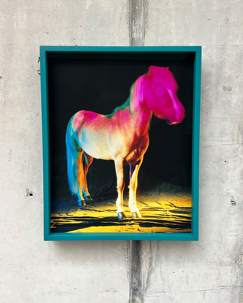 untitled XXII, 2022 | The Horses | Ed 23 | Framed