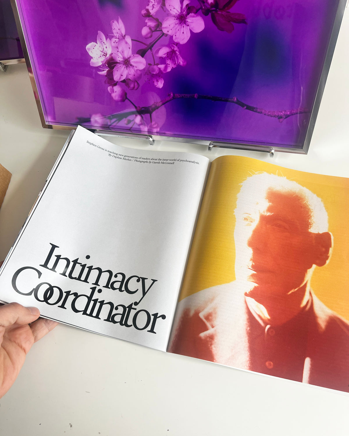 New York Times Magazine commission, Stephen Grosz