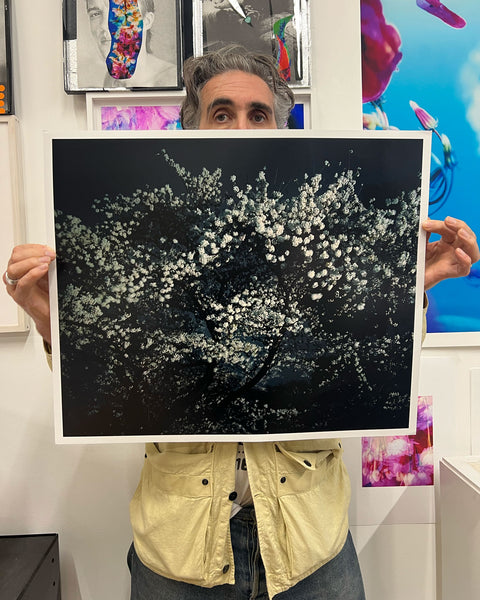 Night Flower (Tokyo II), 2007 | open edition