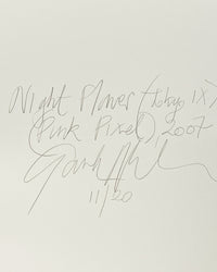 Night Flower (Tokyo IX), (Pink Pixel), 2007