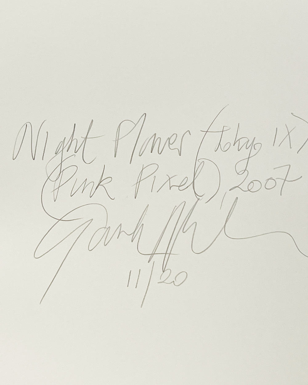 Night Flower (Tokyo IX), (Pink Pixel), 2007