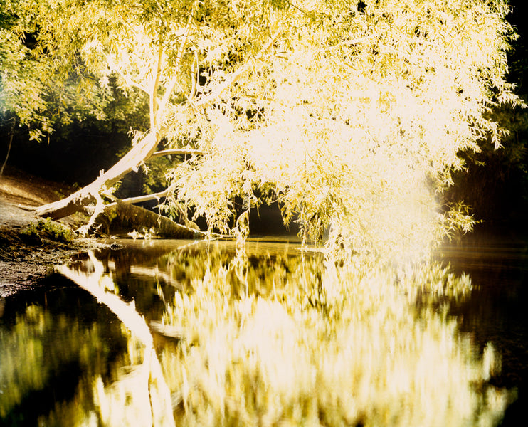 River Glow, 2017