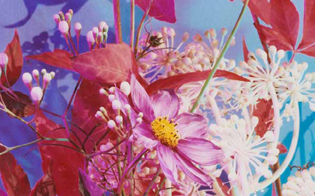 The Brighter The Flowers, The Fiercer The Town. Seen Fifteen