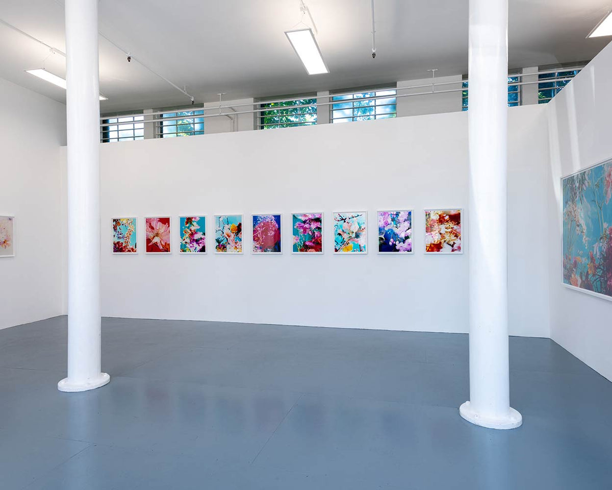 The Brighter The Flowers, The Fiercer The Town. Seen Fifteen