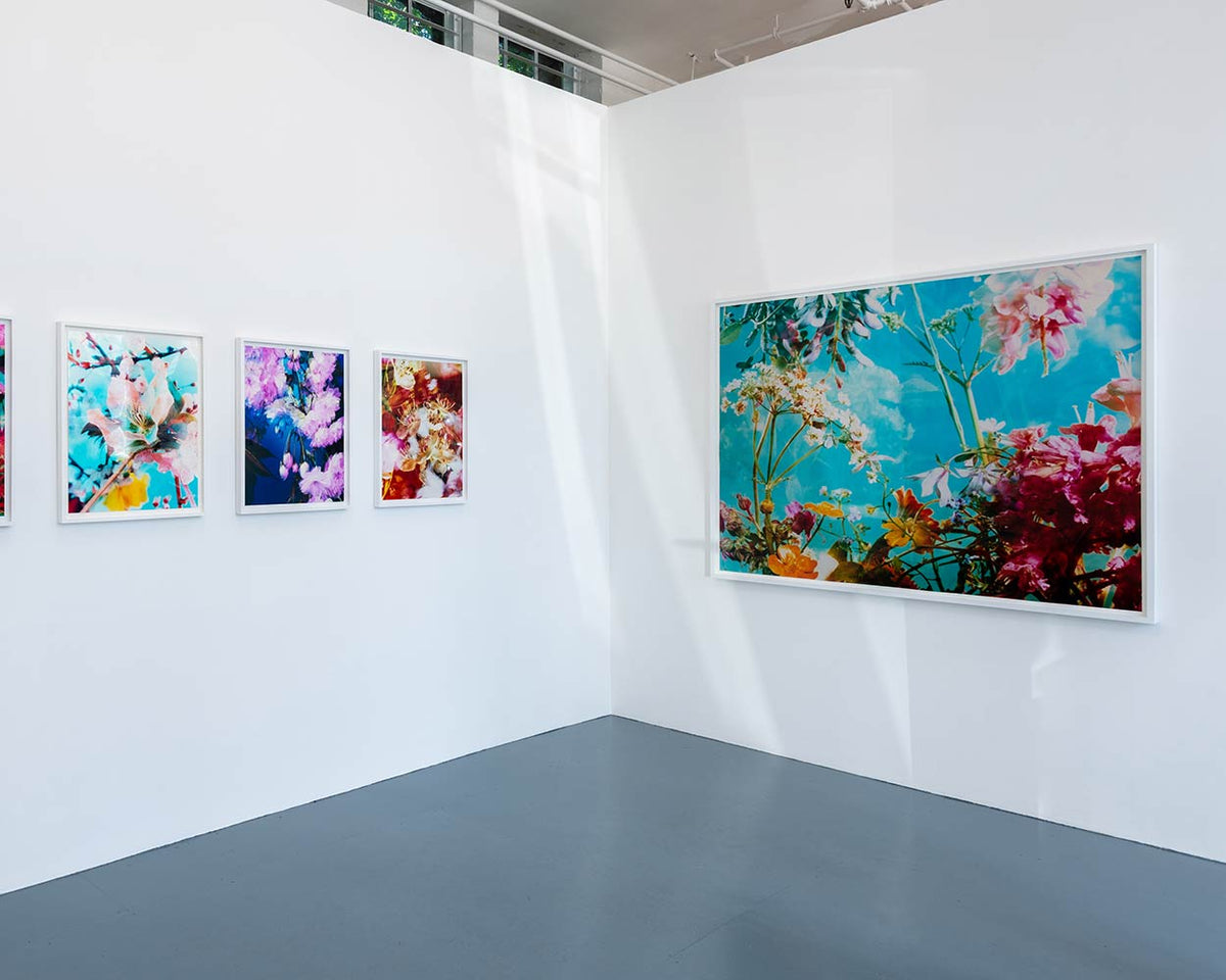 The Brighter The Flowers, The Fiercer The Town. Seen Fifteen