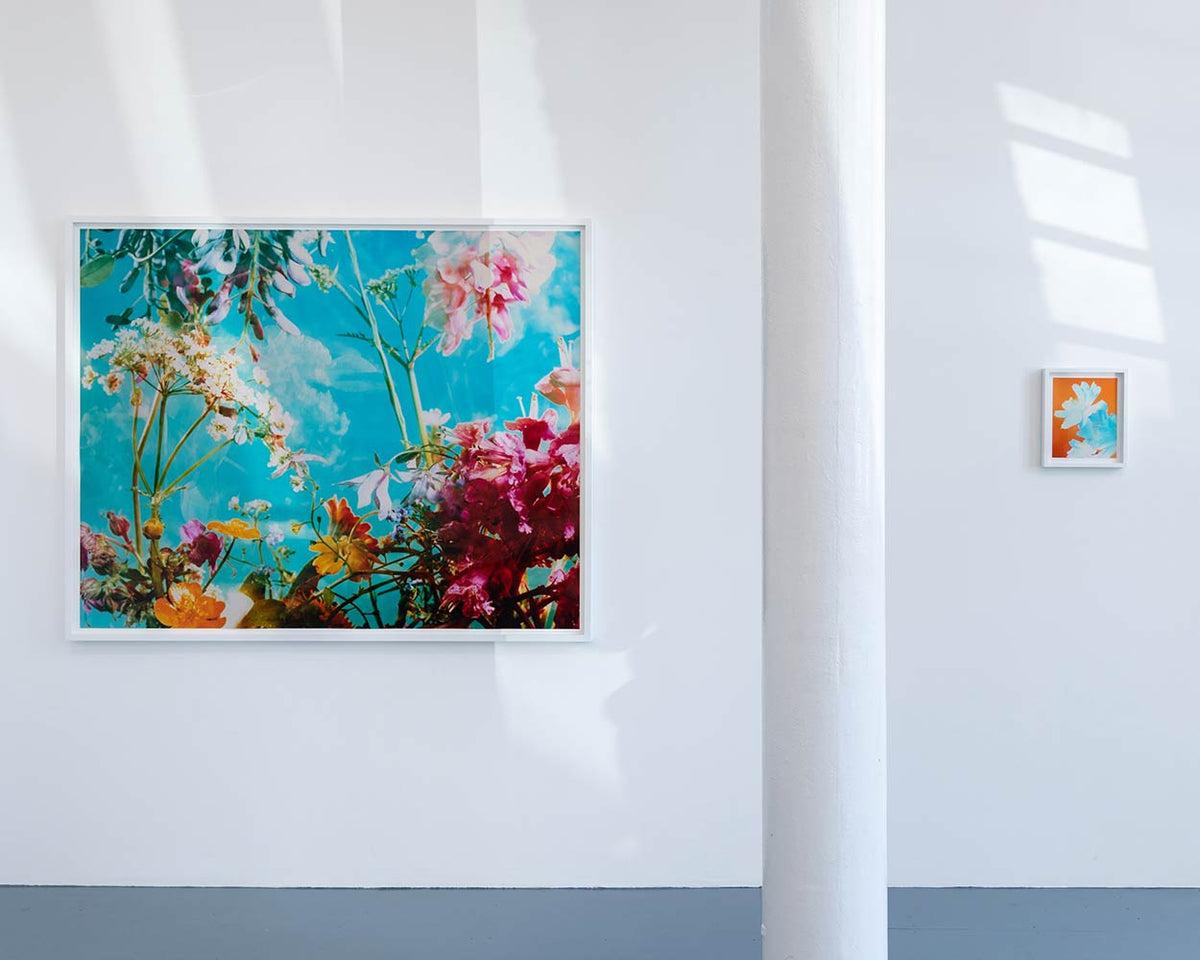 The Brighter The Flowers, The Fiercer The Town. Seen Fifteen