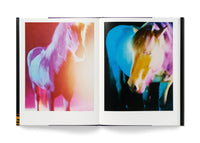 The Horses with Gicleé print