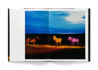 The Horses - Collectors Edition with 10 x 8 inch limited edition print