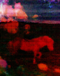 untitled XXIII, 2022 | The Horses