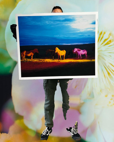 untitled XVII, 2022 | The Horses