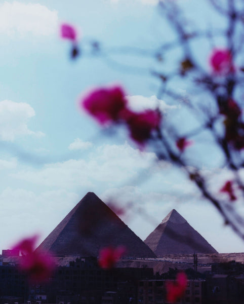 Pyramid Blossom, 2025