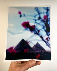 Pyramid Blossom, 2025