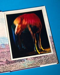 The Horses - Collectors Edition II with 10 x 8 inch limited edition print