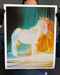 untitled II, 2022 | The Horses