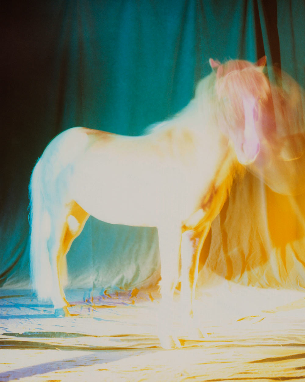 untitled II, 2022 | The Horses