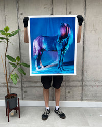 untitled XXXVI, 2022 | The Horses