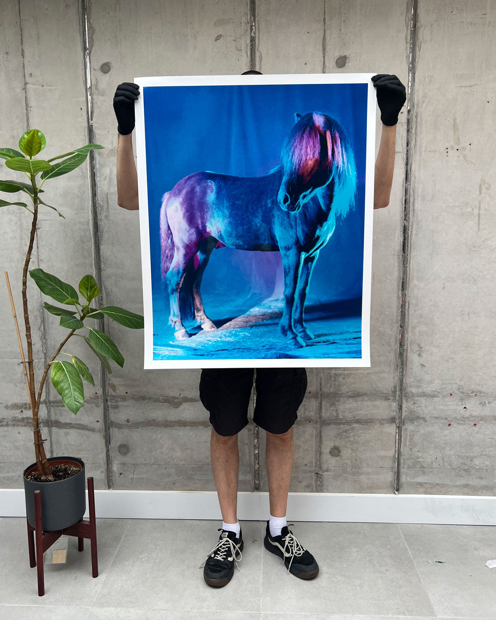 untitled XXVI, 2022 | The Horses