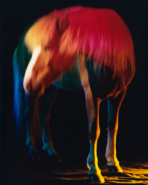 untitled I, 2022 | The Horses