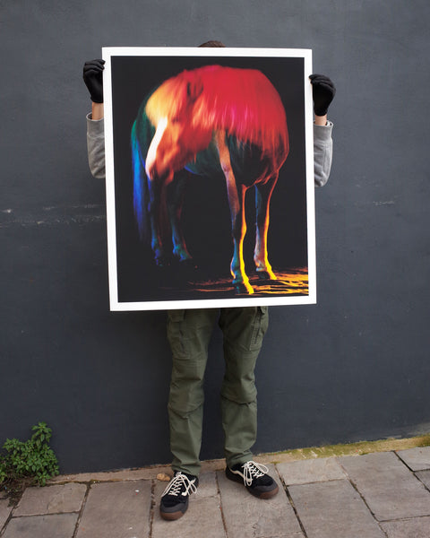 untitled I, 2022 | The Horses