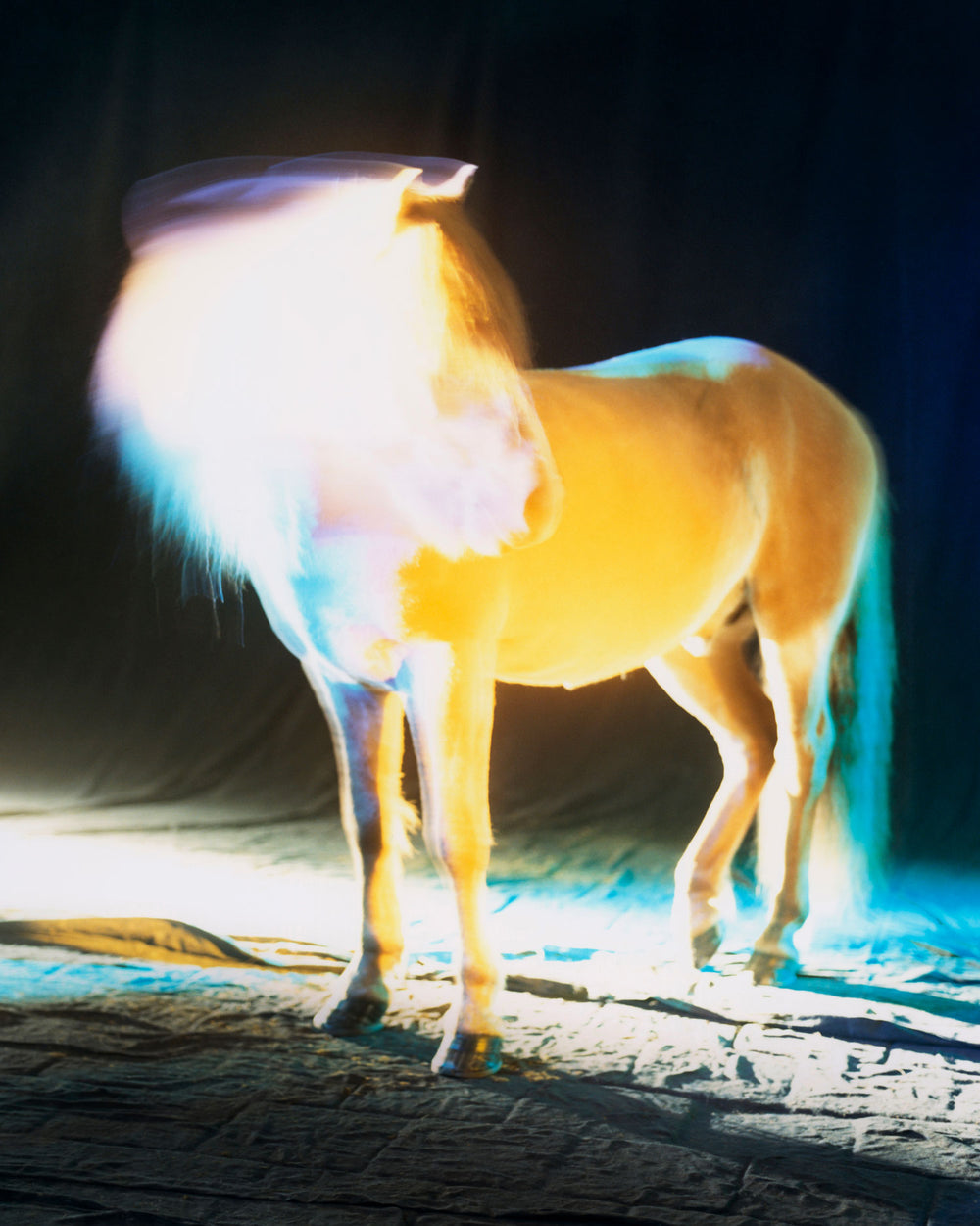 untitled XIV, 2022 | The Horses
