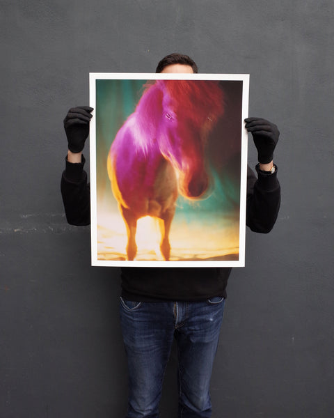 untitled IV, 2022 | The Horses